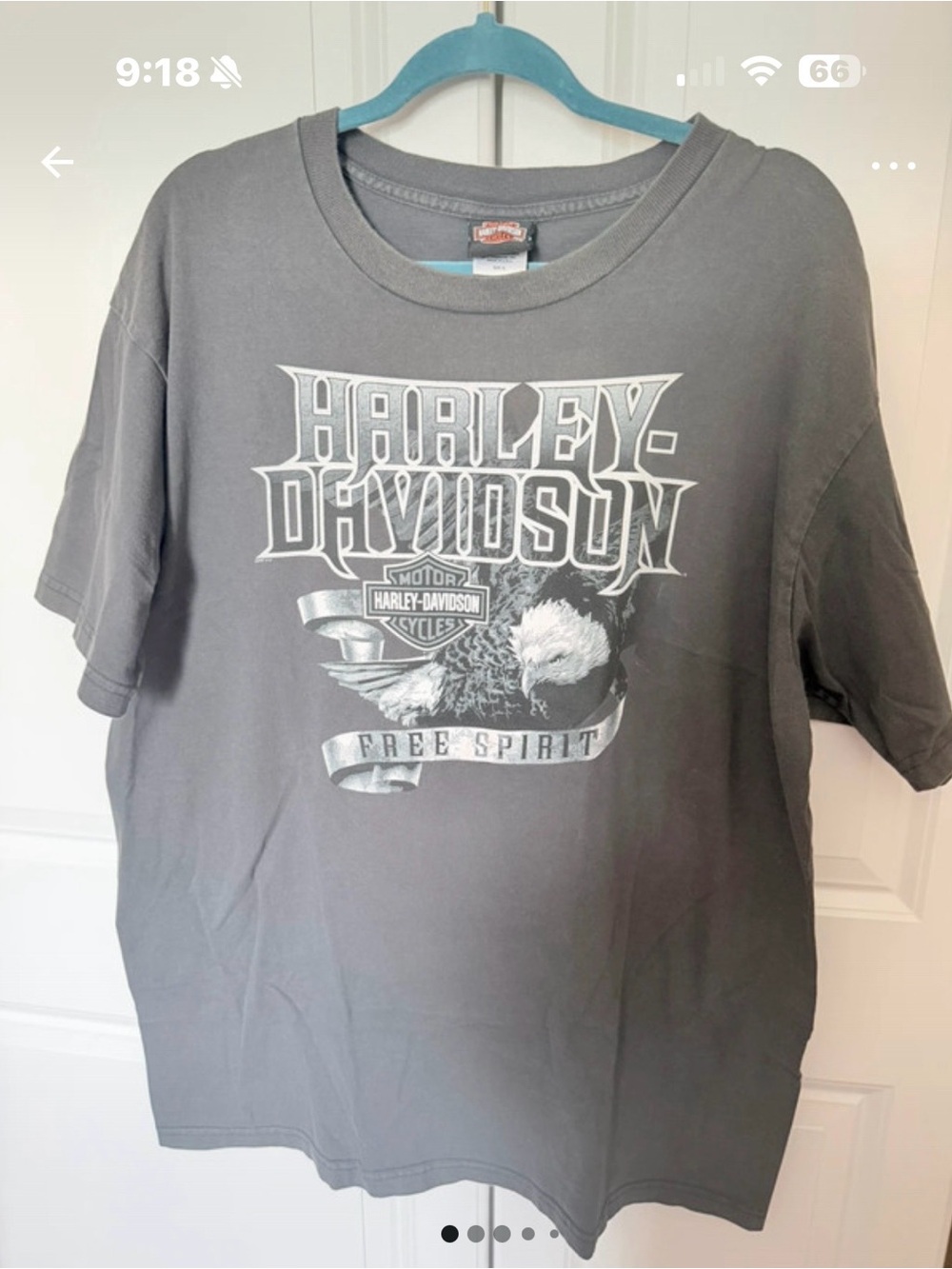 Harley-Davidson Men's Gray 'Free Spirit' Graphic T-Shirt